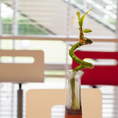 Hotel Premiere Classe Rouen Sud Oissel *