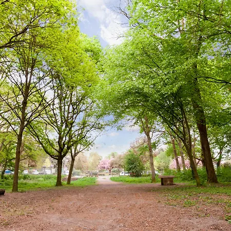 Hotel Premiere Classe Rouen Sud Oissel *