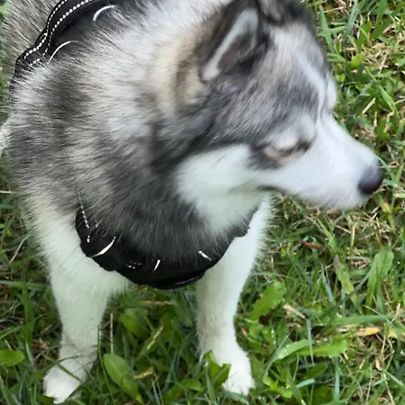 Premiere Classe Rouen Sud Oissel 酒店