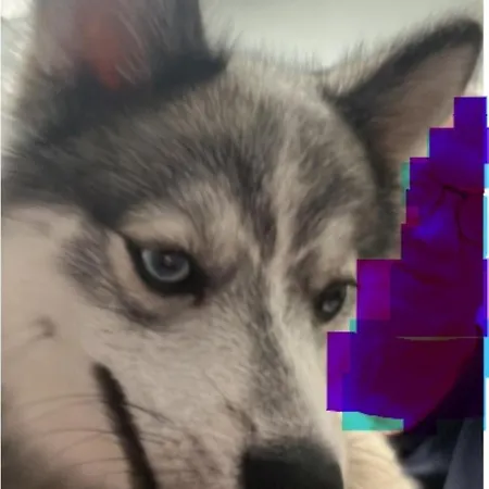 酒店 Premiere Classe Rouen Sud Oissel 圣艾蒂安-迪鲁夫赖