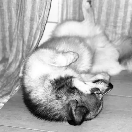 Premiere Classe Rouen Sud Oissel 酒店