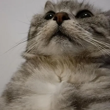 Premiere Classe Rouen Sud Oissel * 圣艾蒂安-迪鲁夫赖