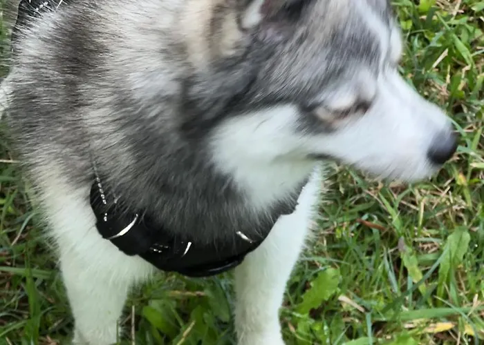 Premiere Classe Rouen Sud Oissel Otel