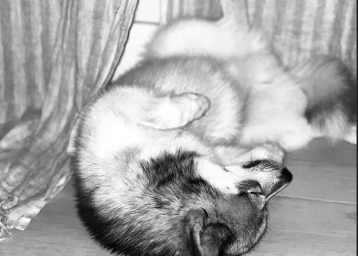 Premiere Classe Rouen Sud Oissel Otel